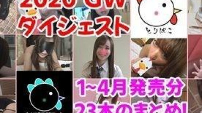 FC2-PPV-1353080 - 【개인 촬영 141】2020 GW 다이제스트!  - 1~4월 발매분 23개 정리!