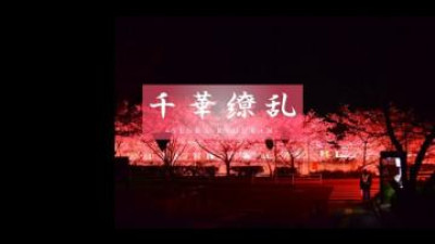 FC2-PPV-3166039 - [전설의 미모 또..Ⅱ] 맑은 공기와 또 최고의 미모.  - - 충격적인 3P를 봐주세요.  - - 사쿠라 18세